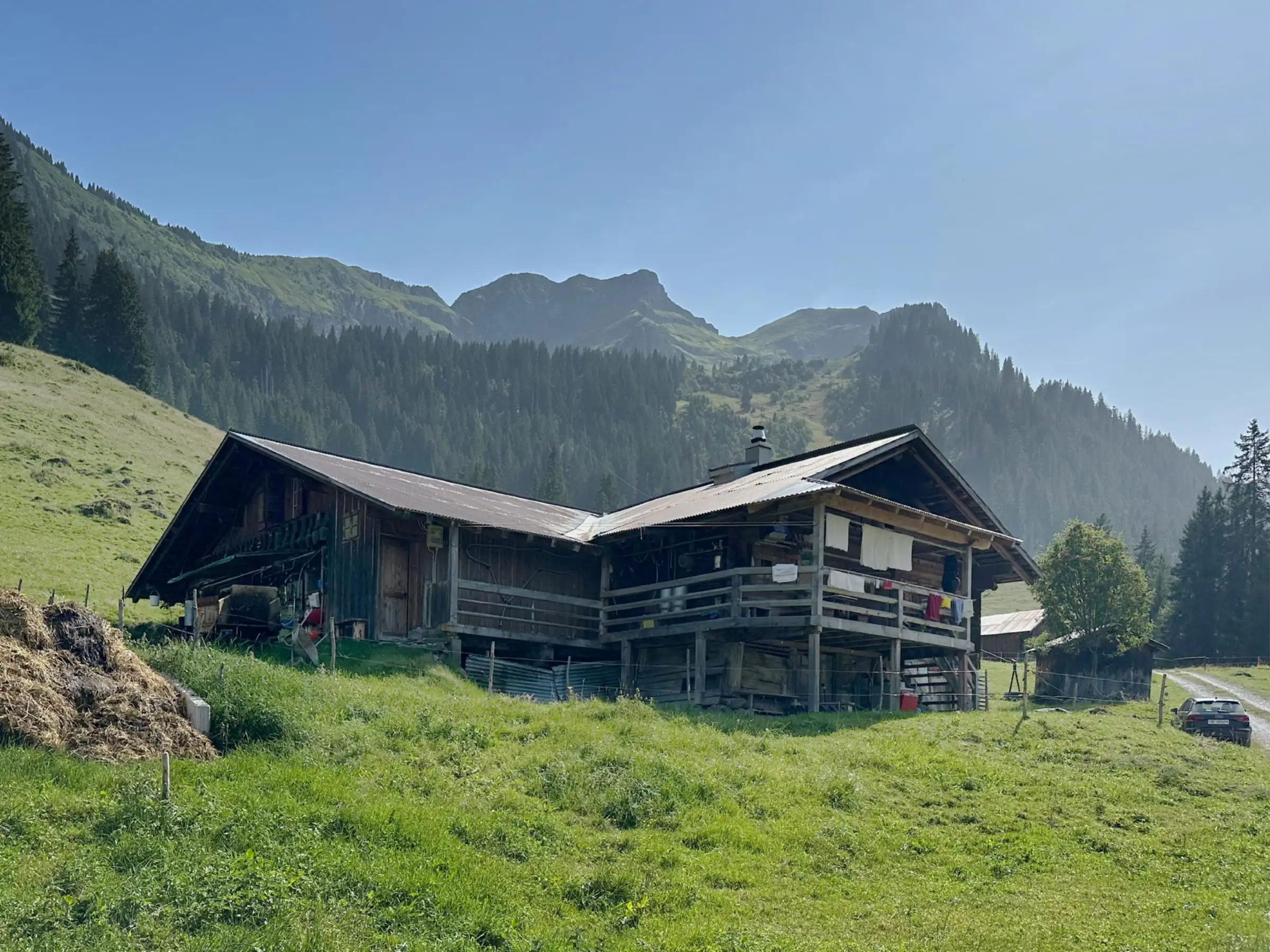 Berner_Alpkaese_Stalden_01