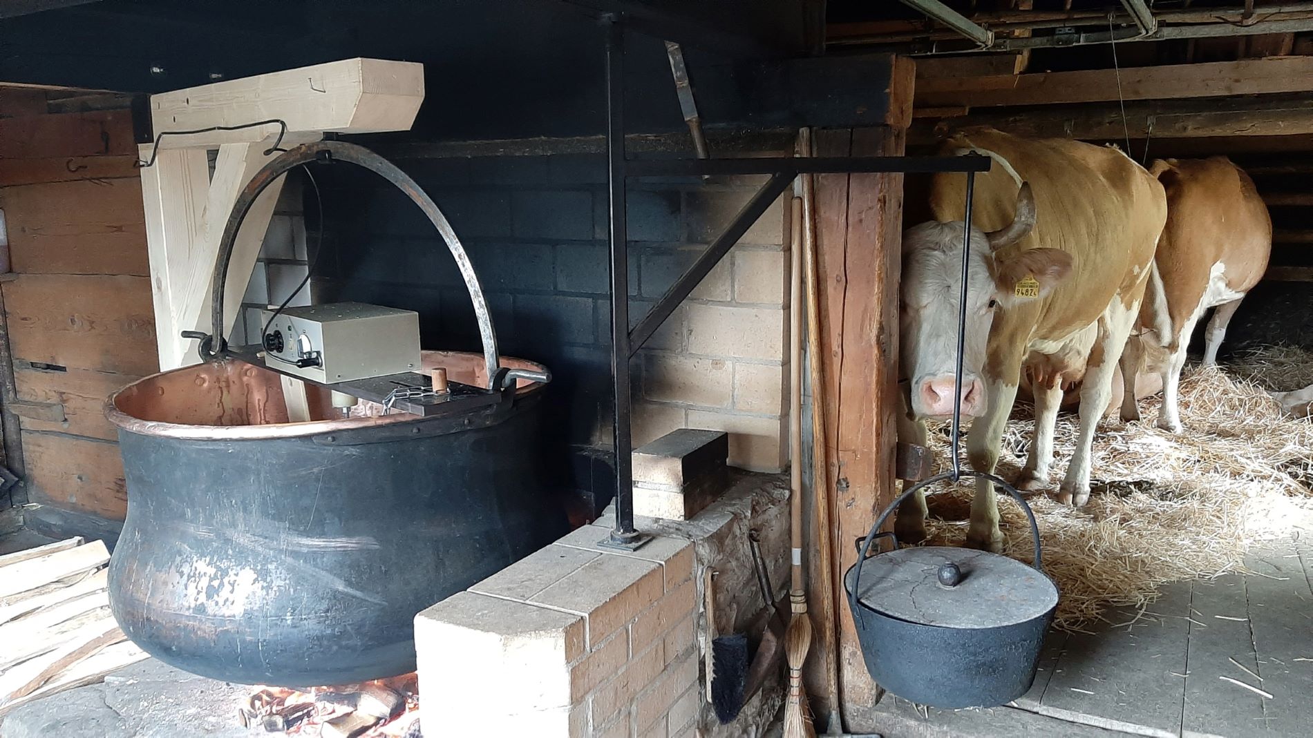 Adobe Express – file